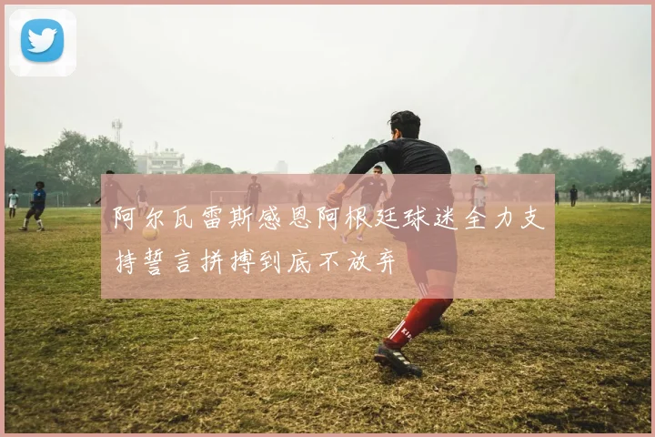 阿尔瓦雷斯感恩阿根廷球迷全力支持誓言拼搏到底不放弃